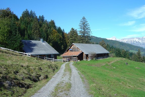 Alpen-Wald_Legi.jpg 