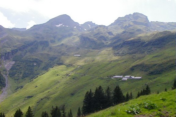 Alpen-Altsaess.JPG 